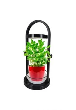 Top 10 👍 Näve Leuchten LED Pflanzen-Tischleuchte H:53,5cm Schwarz 🎁 -technik Verkäufe unnamed file 1715