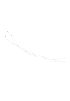 Budget 🛒 BUTLERS® STAR LIGHTS LED-Lichterkette Sterne 50 Lichter Mit USB-Batteriefach 🌟